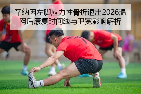 辛纳因左脚应力性骨折退出2026温网后康复时间线与卫冕影响解析